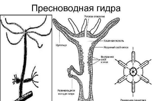 Кракен 16 at