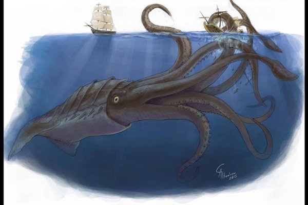 Kraken kraken link24 info