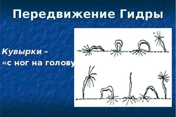 Кракен наркотики россия